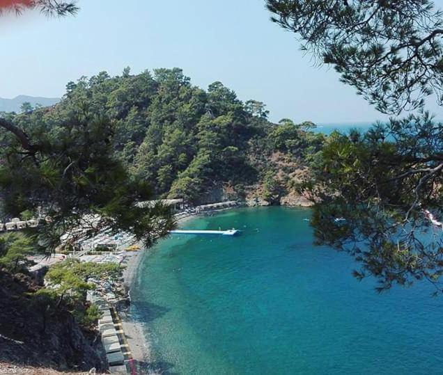 Turtle Apart Lejlighedshotel Fethiye Eksteriør billede